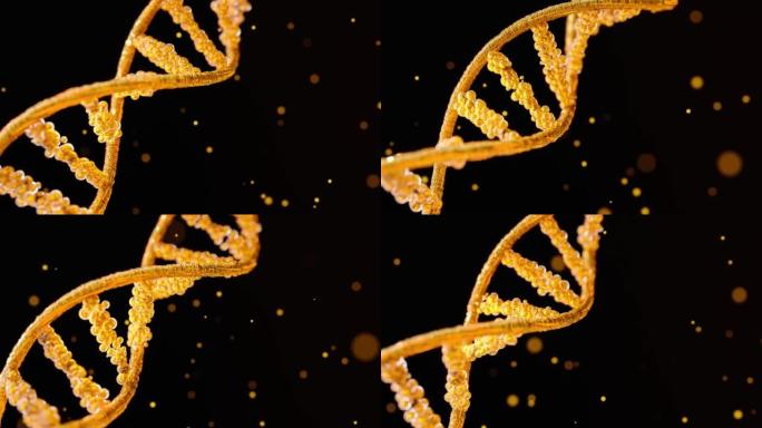 颗粒中的抽象金DNA分子。以高级血统或稀有物种概念设计。