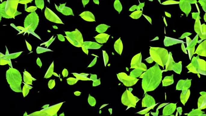 自然绿叶落落逼真3D阿尔法通道循环动画3D 4K。自然销售。