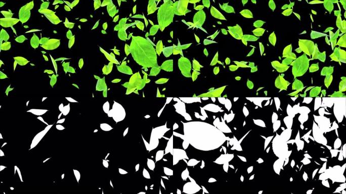 自然绿叶落落逼真3D阿尔法通道循环动画3D 4K。自然销售。