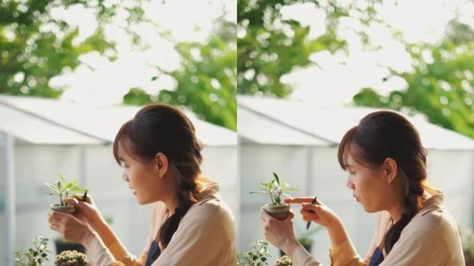 年轻的亚洲女子有直播卖仙人掌