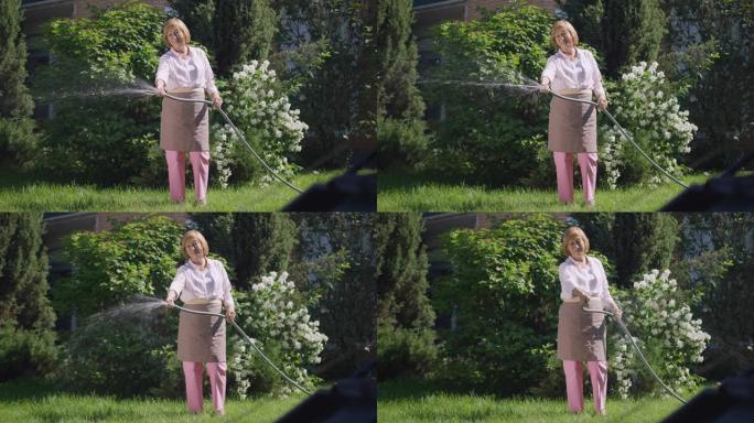 宽幅镜头自信的高级女子在后院慢动作浇灌绿色草坪。白种人退休人员的肖像，软管在阳光下在户外的草地上倒水