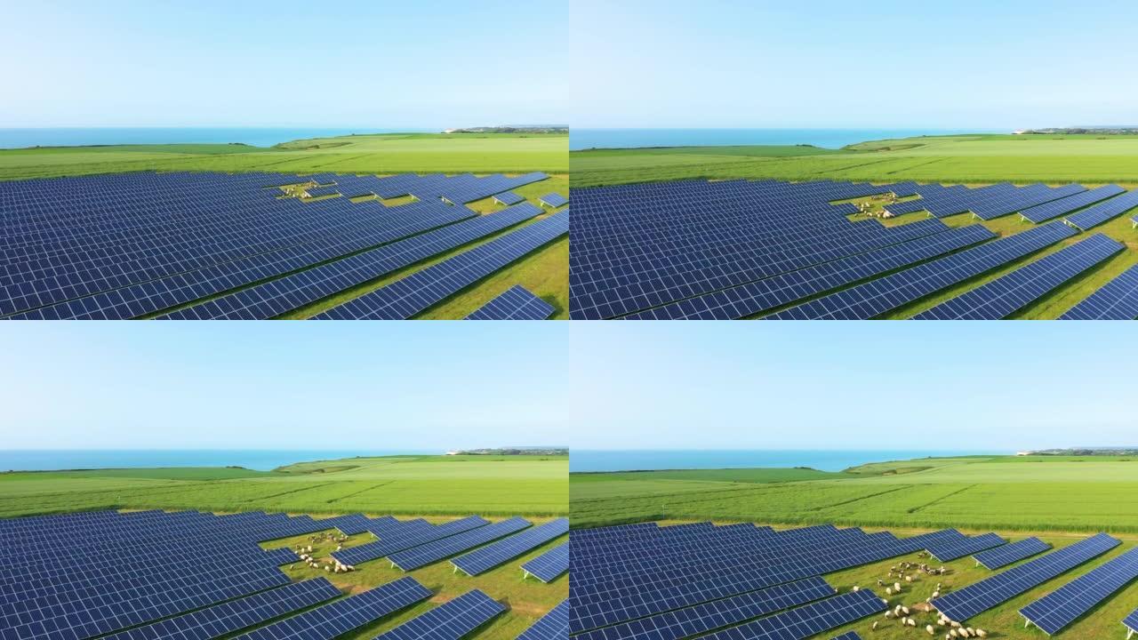 诺曼太阳能电池板中间的亚麻和大麦田，在欧洲，法国，诺曼底，塞纳海上，朝着Fécamp，在夏天，一个阳