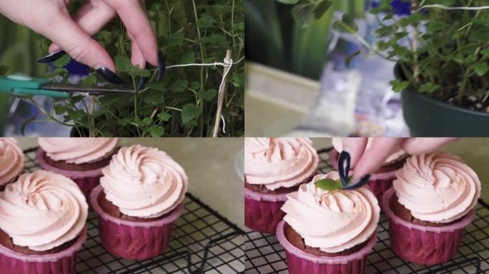糕点师切下在锅中生长的自制薄荷的叶子，并用它们装饰纸杯蛋糕和蓝莓。