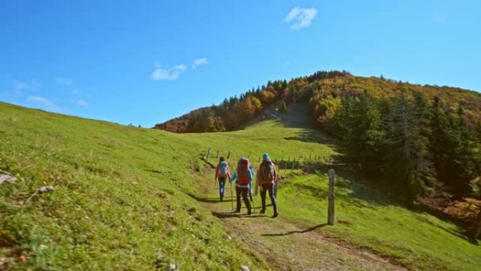 CS四名徒步旅行者沿着阳光明媚的牧场在山路上行走