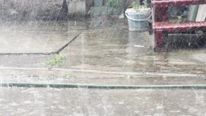 Summer shower rain in back yard, raindrops on conc