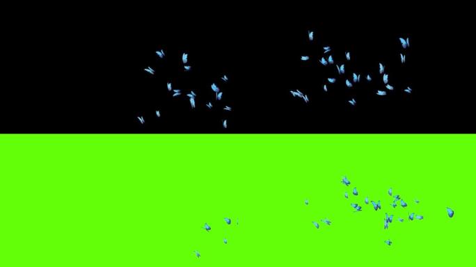 蓝屏飞蝶的4k循环动画背景。