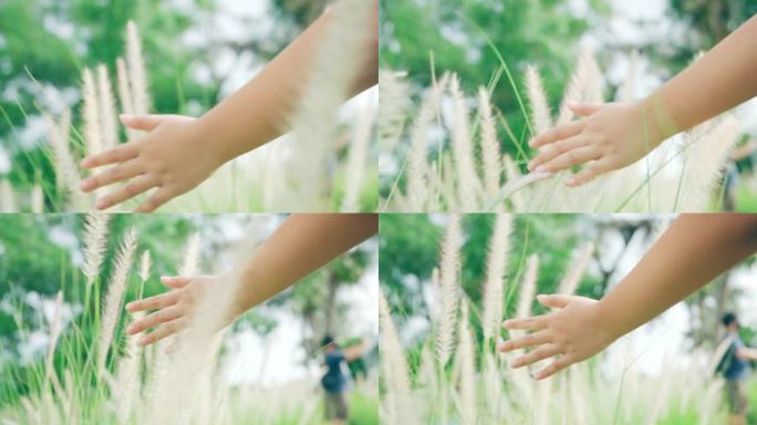 小女孩摸草的手。小女孩摸草的手