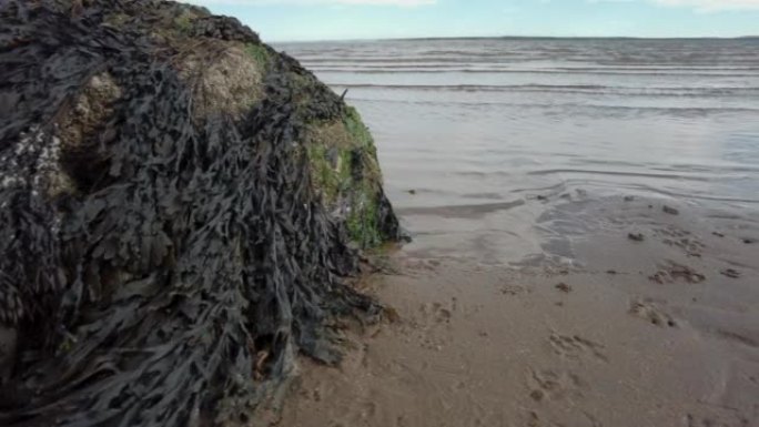 苏格兰泰伊峡湾