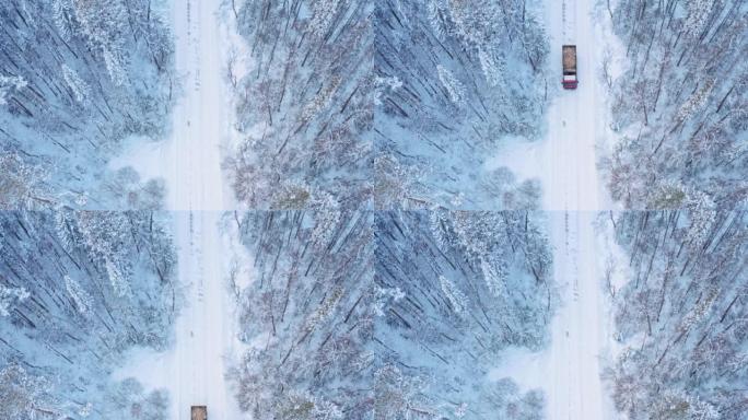 卡车在白雪皑皑的树林中行驶