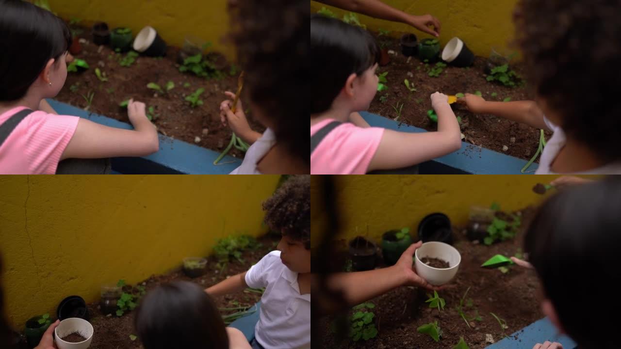 学生在学校的花园里种植
