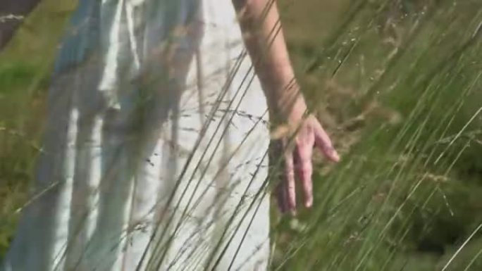 一个穿着白色连衣裙的女人伸出手穿过高高的草丛的细节镜头