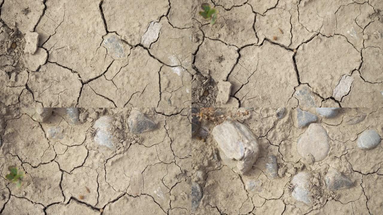 干旱干燥的地面: 全球变暖的干旱