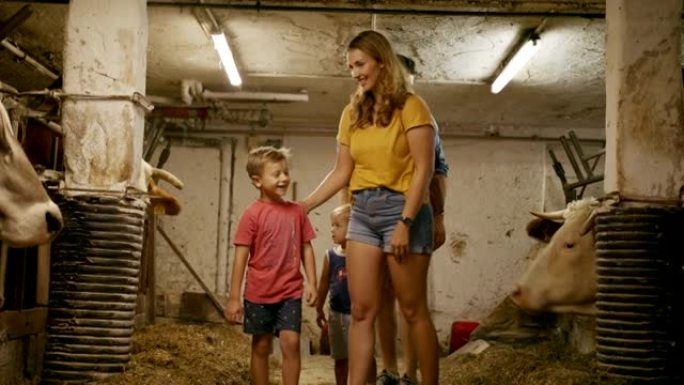 两个小男孩的母亲和父亲在农场的室内探访奶牛