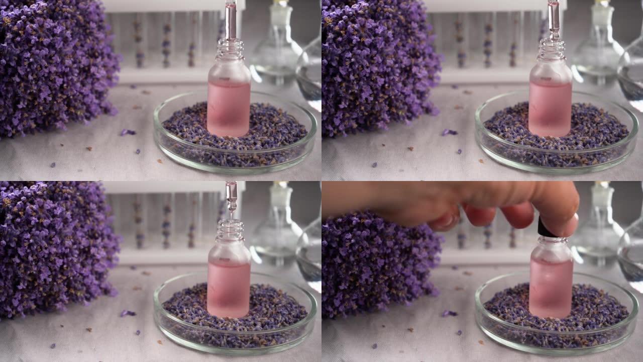 带淡紫色精油的滴管，特写镜头，带紫色薰衣草花和精油瓶的水疗背景。