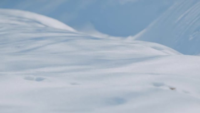 雪上太阳的阴影。阳光穿过森林中的树木。