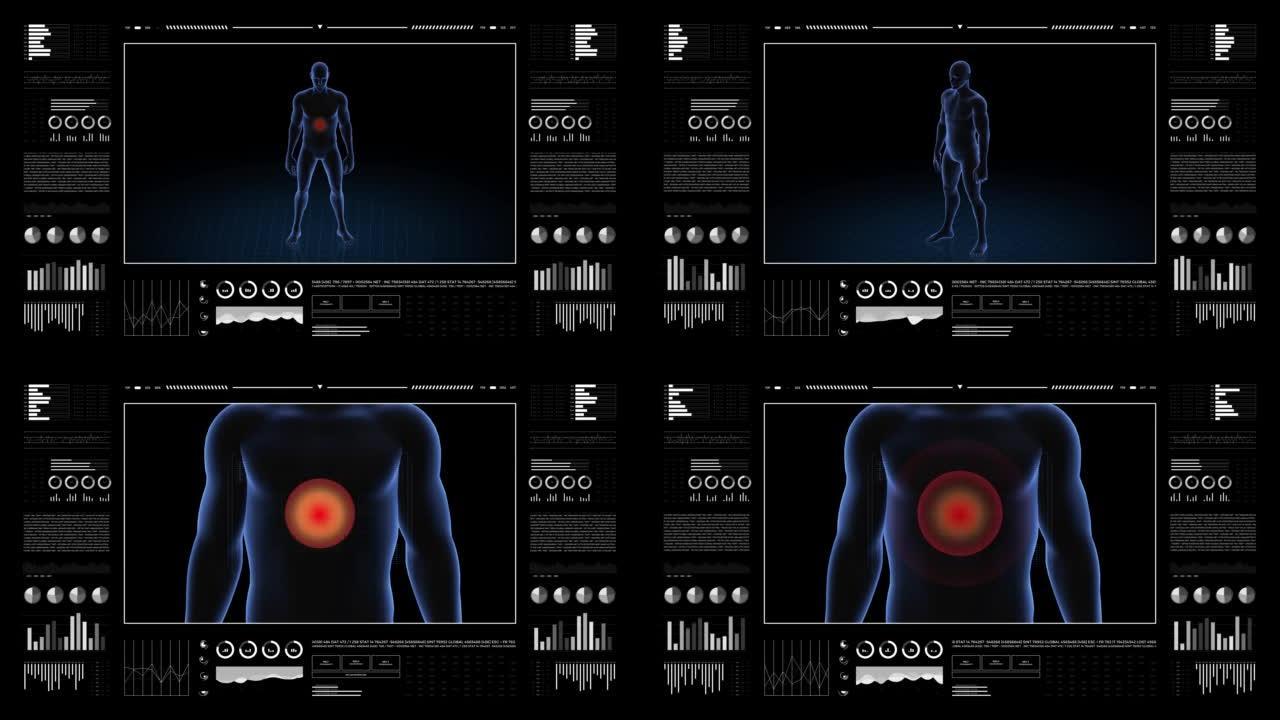 胃部病变的人。男孩的3d身体。男性人体结构的旋转动画和特写。