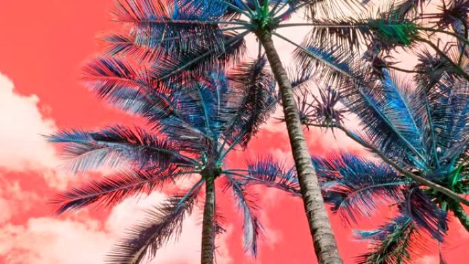 LSD酸旅行中的棕榈树，红色的天空背景