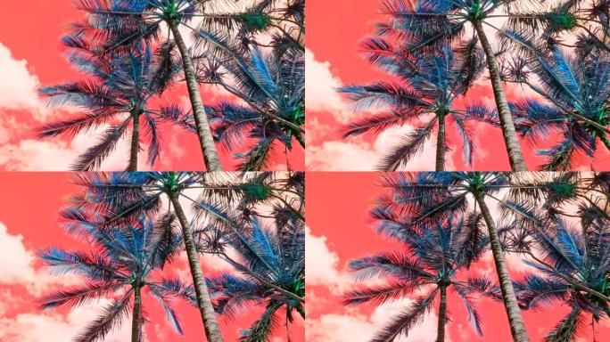 LSD酸旅行中的棕榈树，红色的天空背景