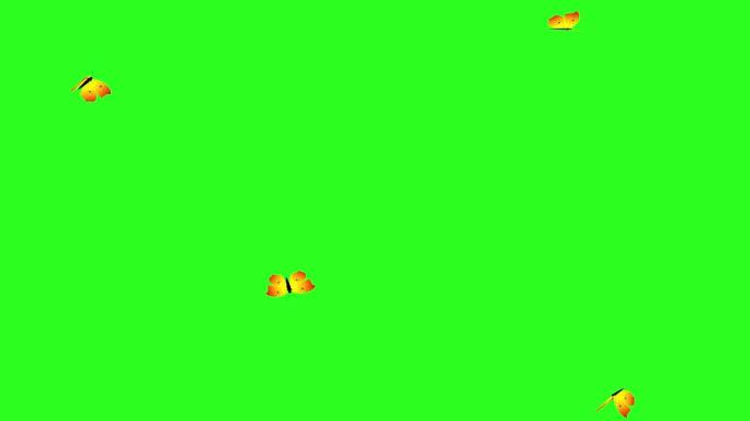 绿屏彩色键上的动画七彩美女蝴蝶