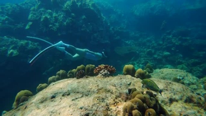 女性自由潜水员在海洋中探索水下