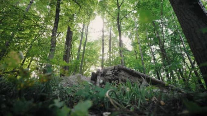 变焦相机是在阳光明媚的森林中拍摄的电影，一名骑山地自行车的专业极限自行车手加速并跳过森林中的障碍物和