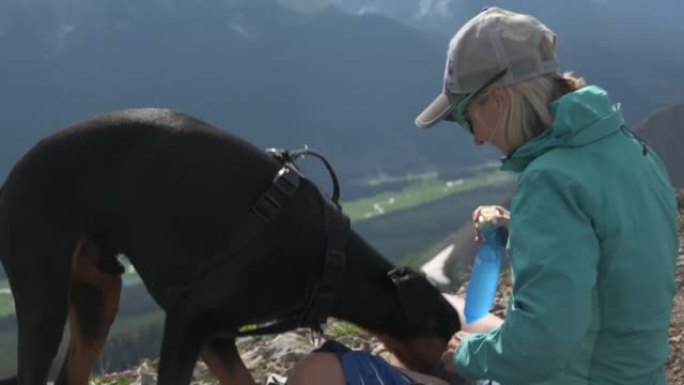 女性徒步旅行者在山顶上喂养宠物狗