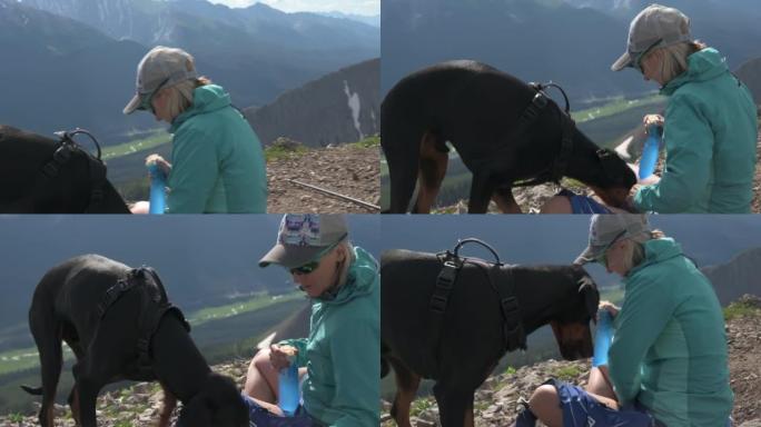 女性徒步旅行者在山顶上喂养宠物狗