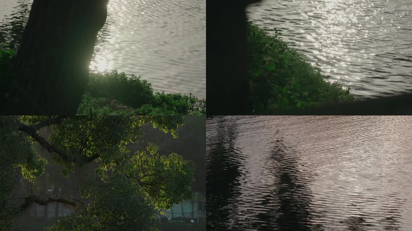 湖面 水面 波光粼粼 湖面树木