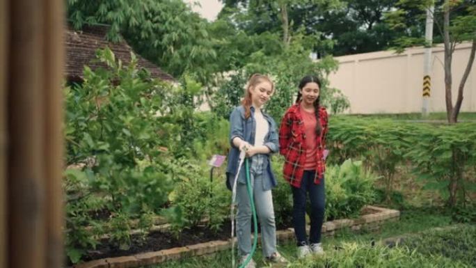 两个十几岁的女孩在城市花园里一起给植物浇水。