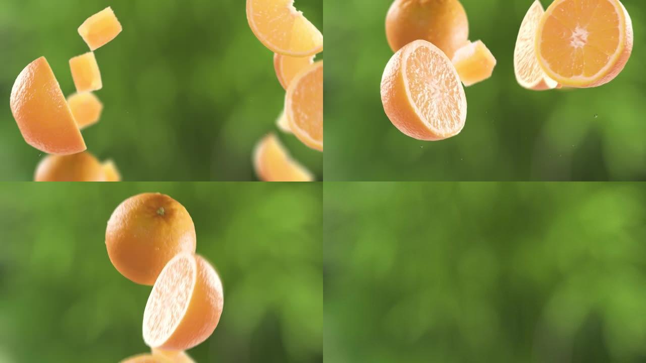 花园背景中的橙色和切片的飞行