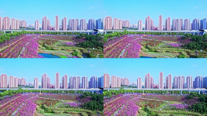 4K 10bit重庆康庄花海航拍