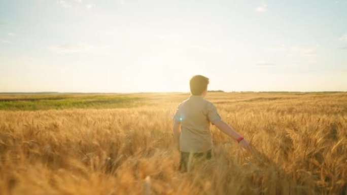 快乐的男孩在夏天或秋天独自在金色的麦田里奔跑，童年在农村