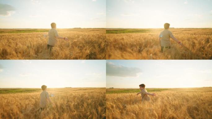 快乐的男孩在夏天或秋天独自在金色的麦田里奔跑，童年在农村