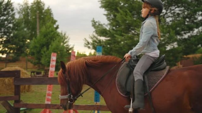 自信的小女孩在小马俱乐部骑马，训练和练习盛装舞步，初级骑师