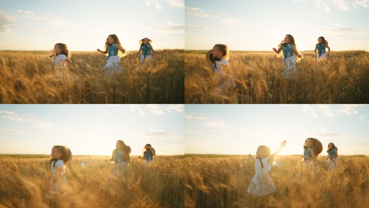 夏天，快乐的孩子们在黑麦田野上奔跑，慢动作拍摄，女孩们在乡下休息