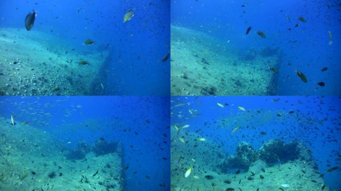 马来西亚Perhentian群岛的sugar wreck，带有螺旋桨，能见度惊人