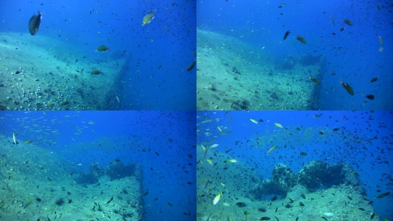 马来西亚Perhentian群岛的sugar wreck，带有螺旋桨，能见度惊人