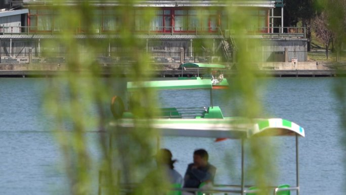公园景区游客情侣划船经过绿柳荡漾有意境