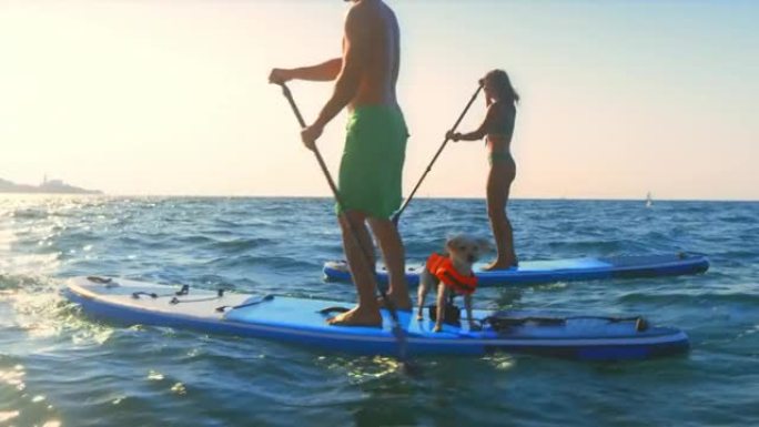 一个男人，女人和他们的狗在阳光下骑着桨板
