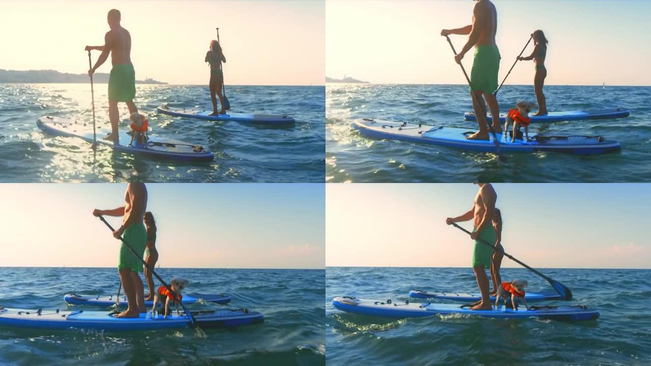 一个男人，女人和他们的狗在阳光下骑着桨板