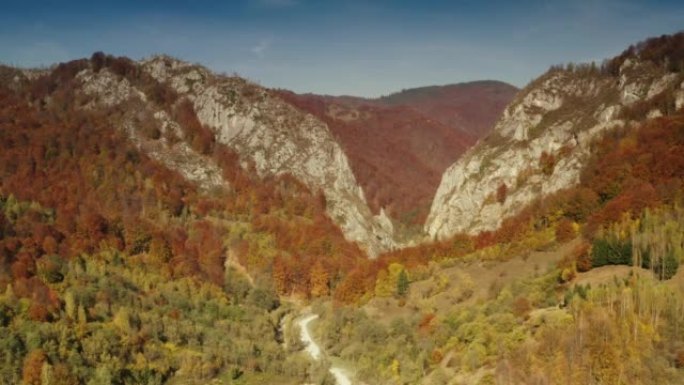 喀尔巴阡山脉绿色森林的鸟瞰图