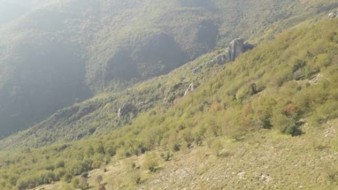 地中海景观、林地的空中风景