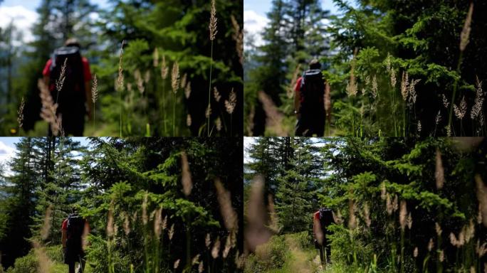 白云岩上的户外冒险: 在森林中徒步旅行