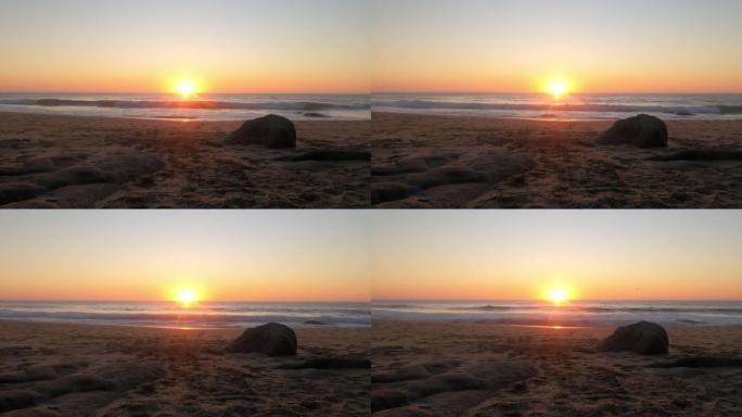 日出时热带海滩的风景