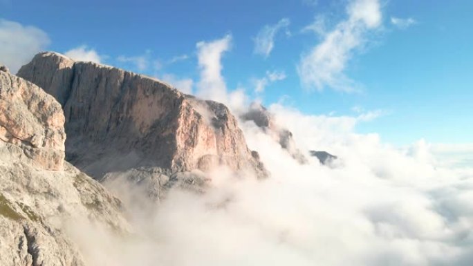 山区牧场绵羊的鸟瞰图