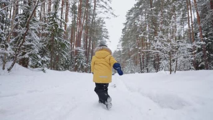 小男孩在寒假里走在白雪皑皑的森林里，蹒跚学步的孩子在雪道上的后视