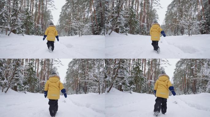 小男孩在寒假里走在白雪皑皑的森林里，蹒跚学步的孩子在雪道上的后视
