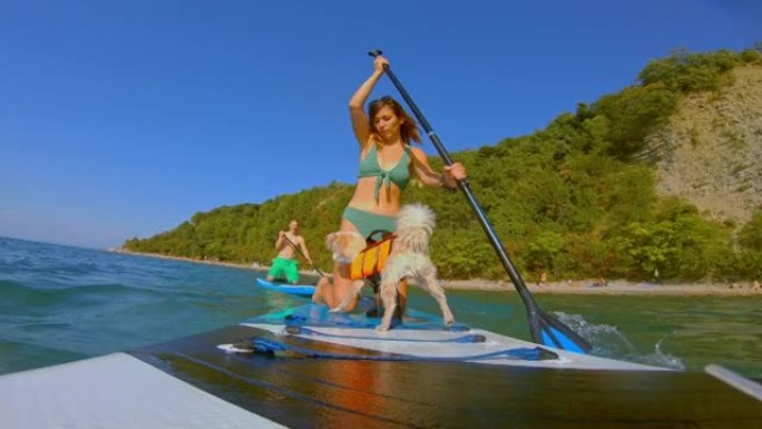 LD小狗和它的女主人在海上骑划桨板