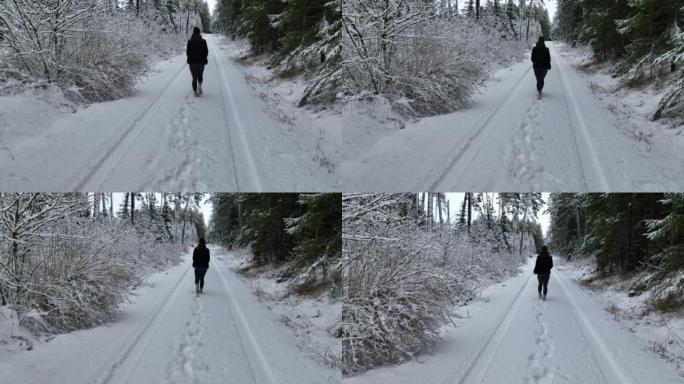 空中无人机拍摄了一名妇女在树林中沿雪道行走的镜头