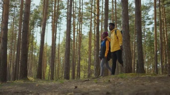 迷人的现代游客黑人夫妇徒步攀登森林山丘，看着远处的动物。自然公园。娱乐概念。慢动作行走
